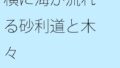 横に海が流れる砂利道と木々