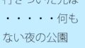 行きついた先は・・・・・何もない夜の公園