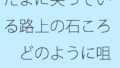 たまに尖っている路上の石ころ どのように咀嚼(そしゃく)をして