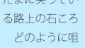 たまに尖っている路上の石ころ どのように咀嚼（そしゃく）をして