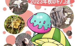 茸観賞放浪記2023年秋のキノコ達