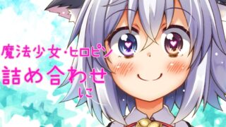 tohta魔法少女・ヒロピン詰め合わせ*に