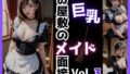 お屋敷の《巨乳》メイド面接 Vol.3