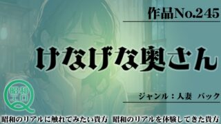 作品No.245 けなげな奥さん