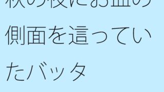 秋の夜にお皿の側面を這っていたバッタ