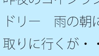 昨夜のコインランドリー 雨の朝に取りに行くが・・・・・