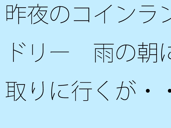 昨夜のコインランドリー 雨の朝に取りに行くが・・・・・