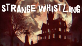 strange whistling_Ogg