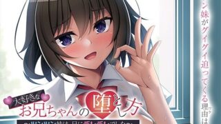 大好きなお兄ちゃんの堕とし方〜ツンツン妹は、兄にデレデレでした〜