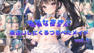 【vol1】夜空が綺麗な日に夜●いしにくるつるぺたメイド