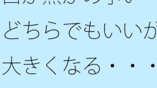 白か黒かの争い どちらでもいいが大きくなる・・・・ショルダーバッグには文明のディスプレイ