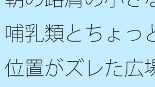 朝の路肩の小さな哺乳類とちょっと位置がズレた広場のベンチ